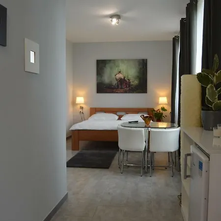Lipa Nový Bor