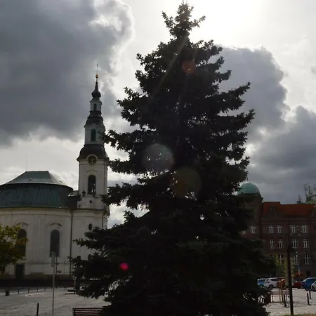 Lipa Guest house Novy Bor