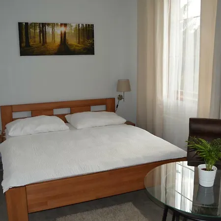 Lipa Guest house Novy Bor
