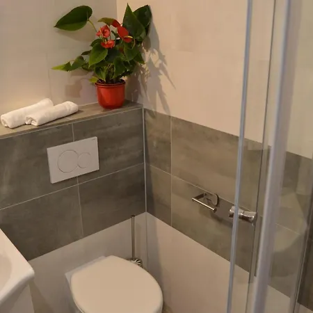 Lipa Guest house Novy Bor