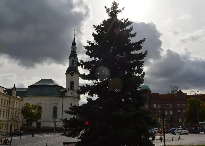 Lipa Pensjonat Nový Bor